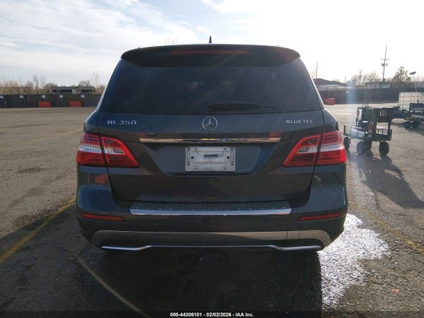 Thumbnail 17