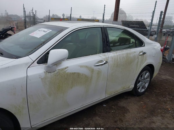 Image 15