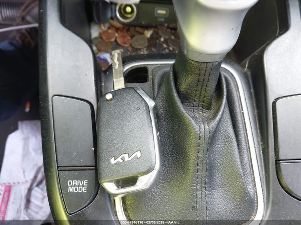 Image 11