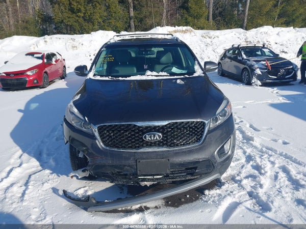 Image 12