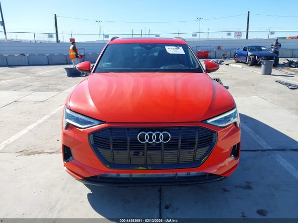 Image 13