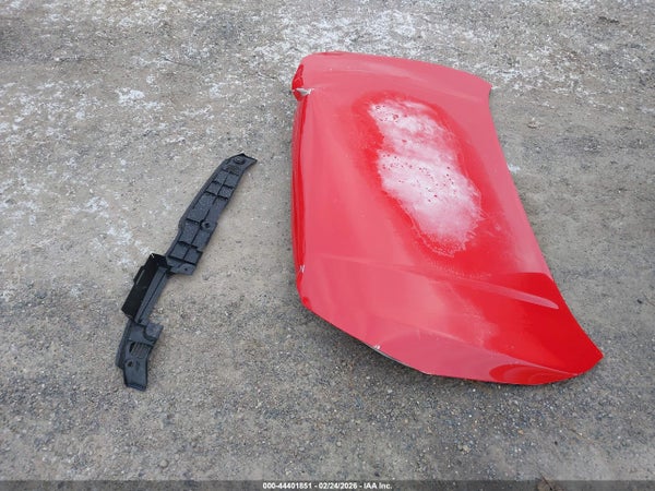 Image 12