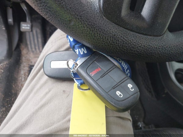 Image 11