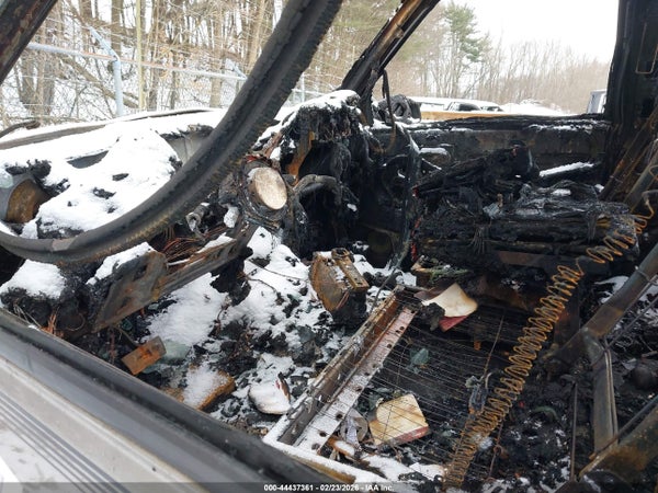 Image 13