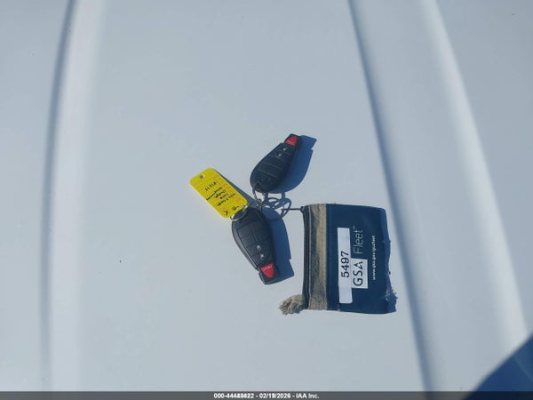 Image 11