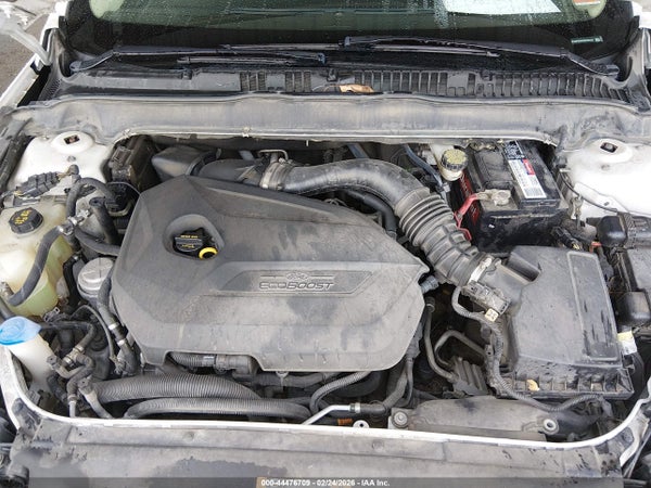 Image 10