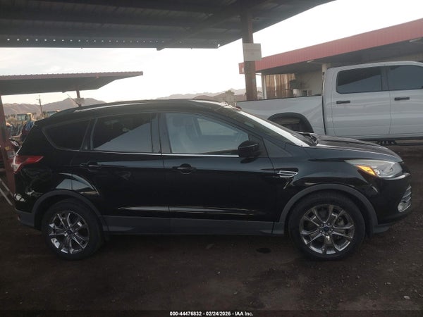 Image 14