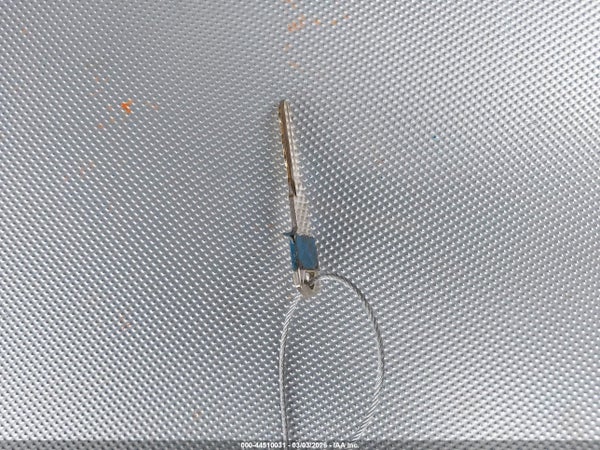 Image 11