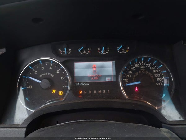 Image 7