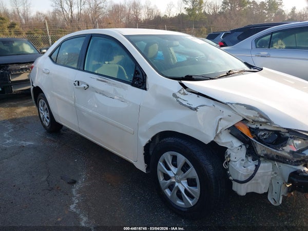 Image 13
