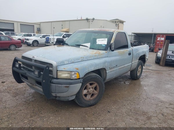 Image 6