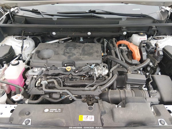 Image 10