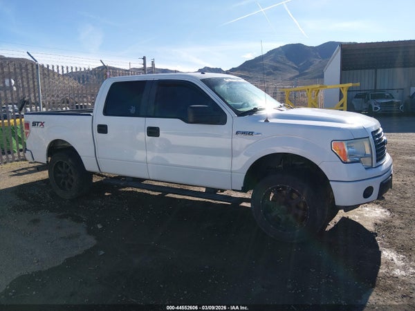 Image 13