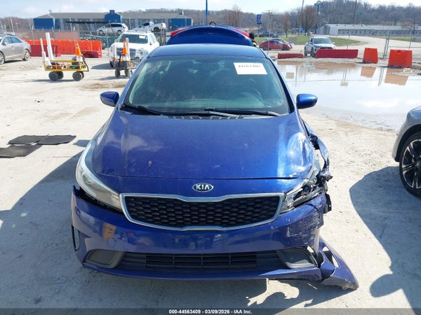 Thumbnail 12