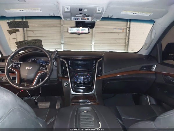 Image 19