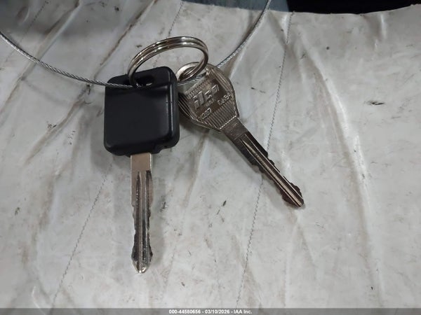Image 11