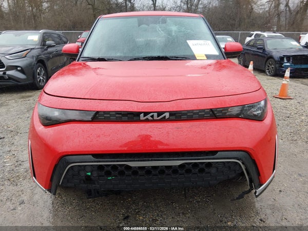 Image 12