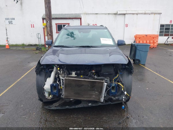 Image 13