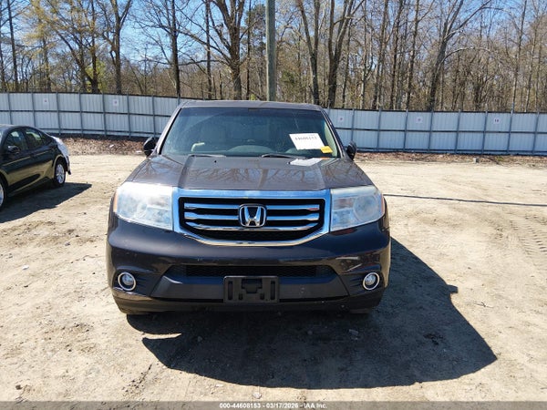 Image 12