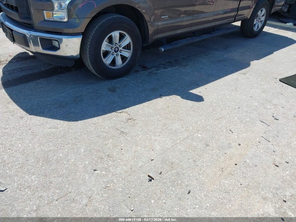 Image 12