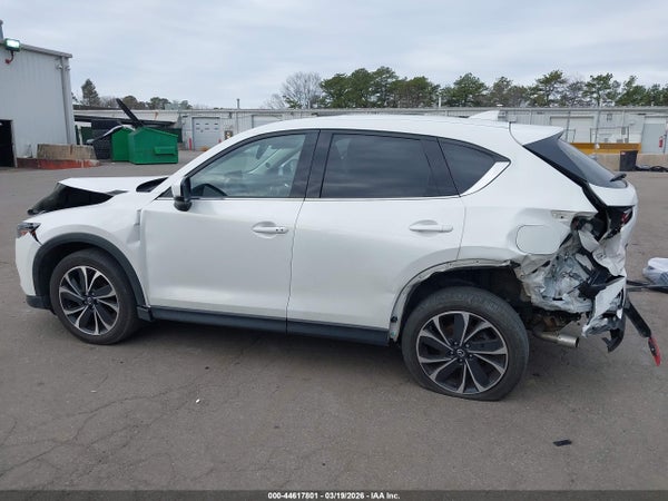 Image 14