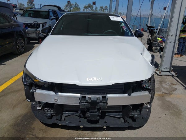 Image 13