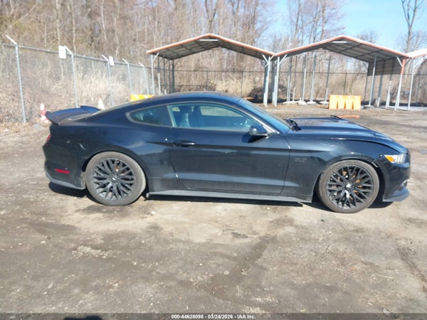 Image 13