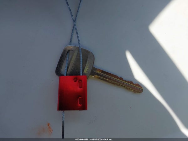 Image 11