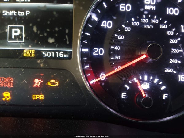 Image 15