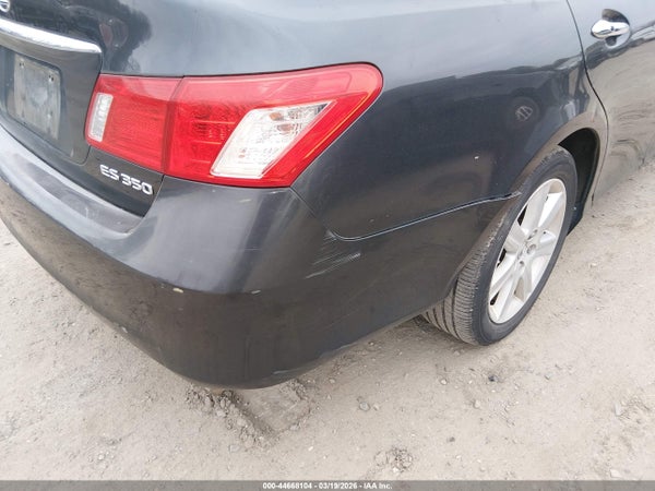 Image 13