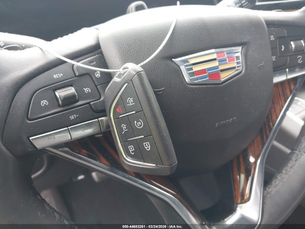 Image 11