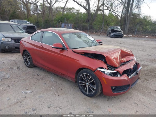 2019 BMW 230i