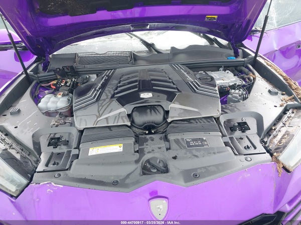 Image 10