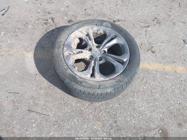 Image 12