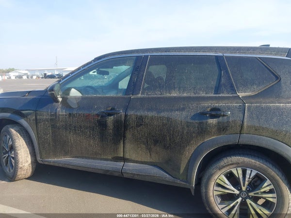 Image 16