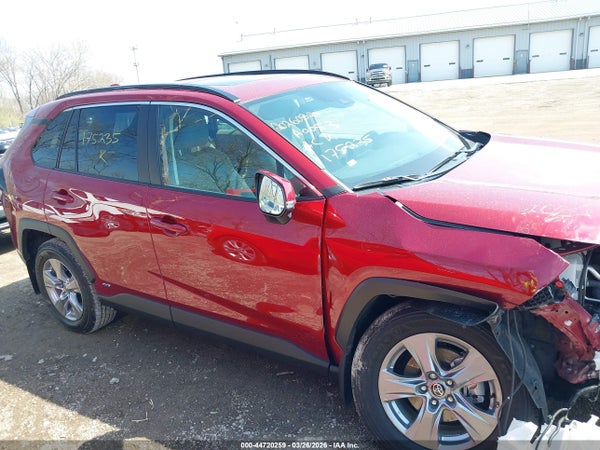 Image 13