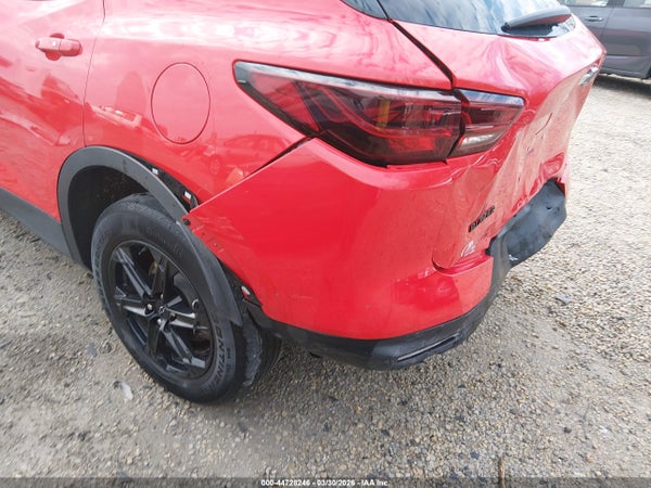 Image 19