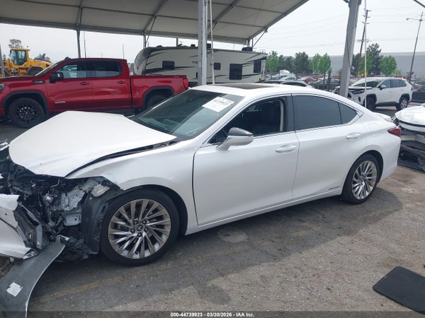Image 14