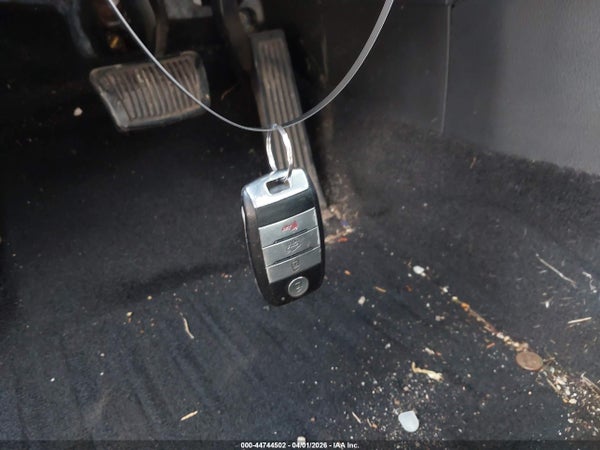 Image 11