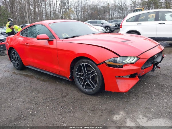2019 Ford Mustang