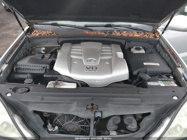 Image 10