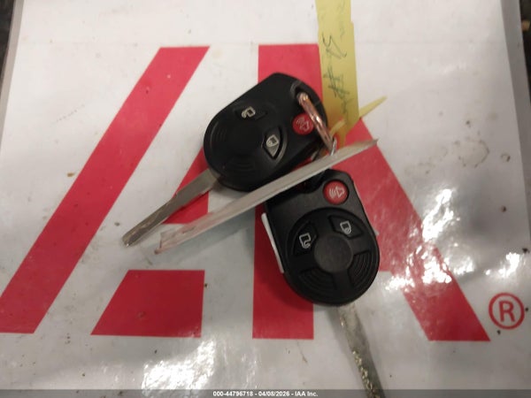 Image 11