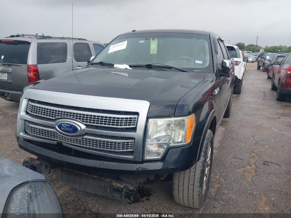 Image 12