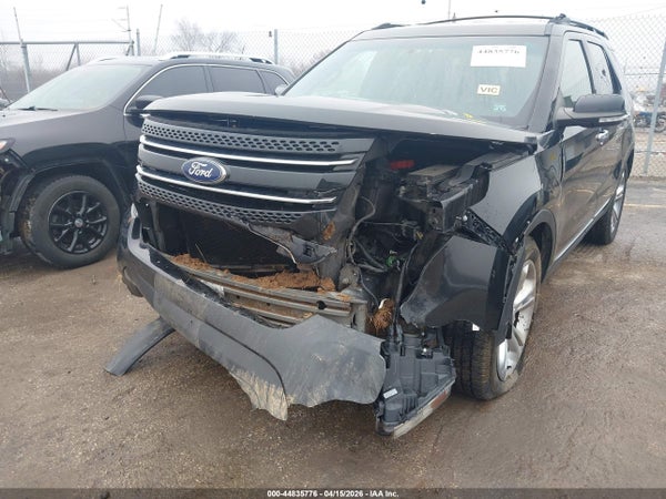 Image 6