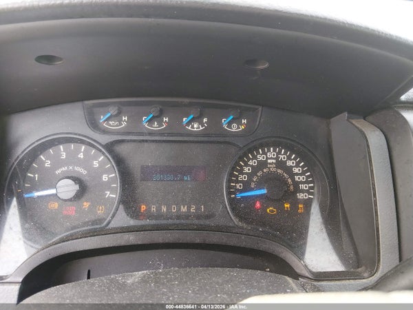 Image 7
