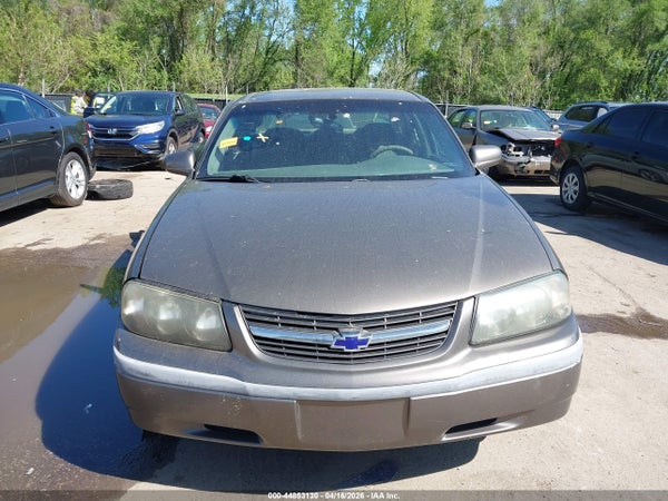 Thumbnail 13