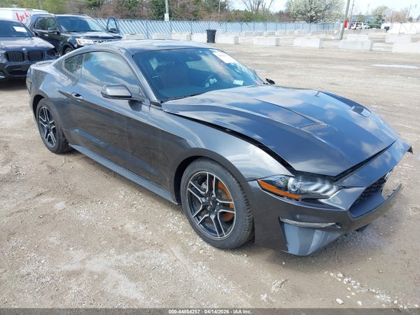 2019 Ford Mustang