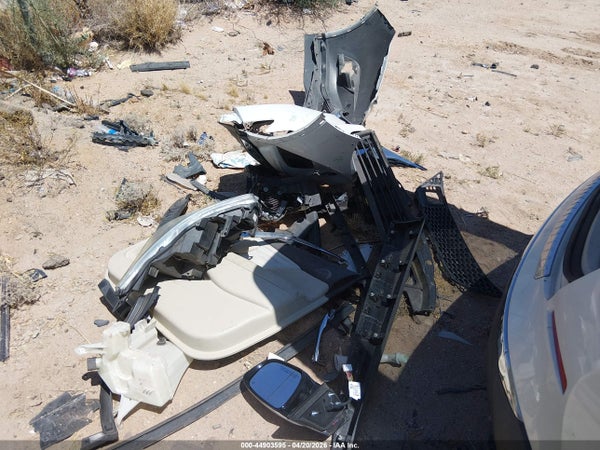 Image 12
