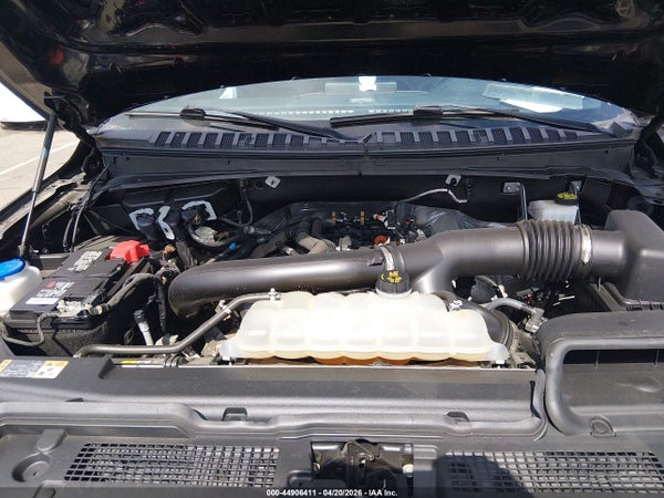 Thumbnail 10