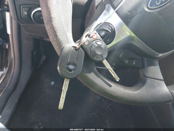 Image 11